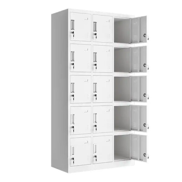 15 Door Steel Locker at Redwave Online