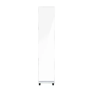 Dressing Mirror With Storag #6255 Color: white