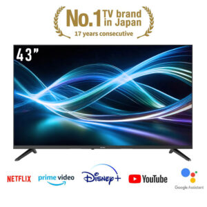 Sharp 43" Inch Google TV - 2T-C43GH3000X